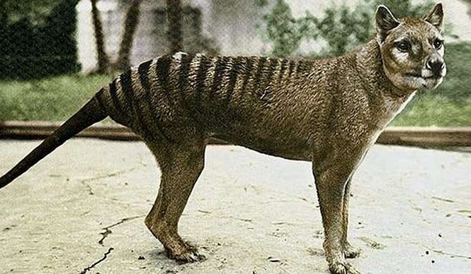 Изследователи в Австралия и в САЩ се включват в многомилионен